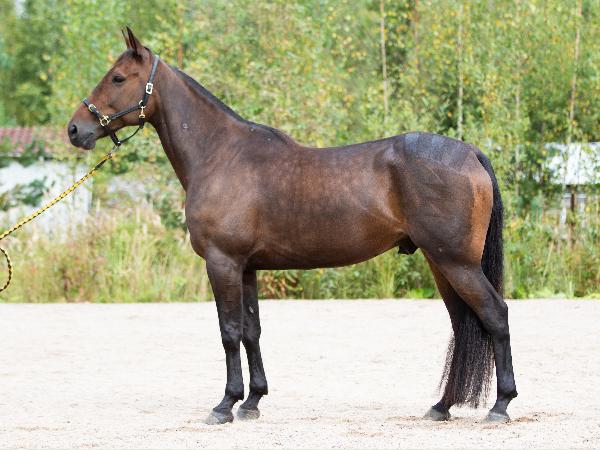 Sixten Roc