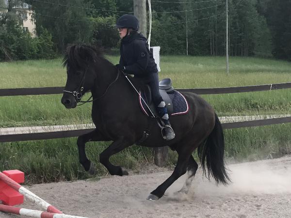 Ui från Håkansgården