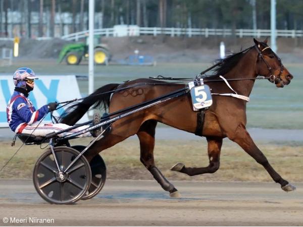 Goldiivo Hoss