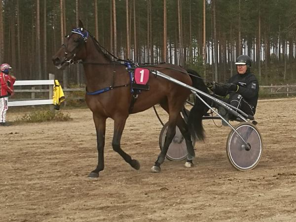 Circus Tabac