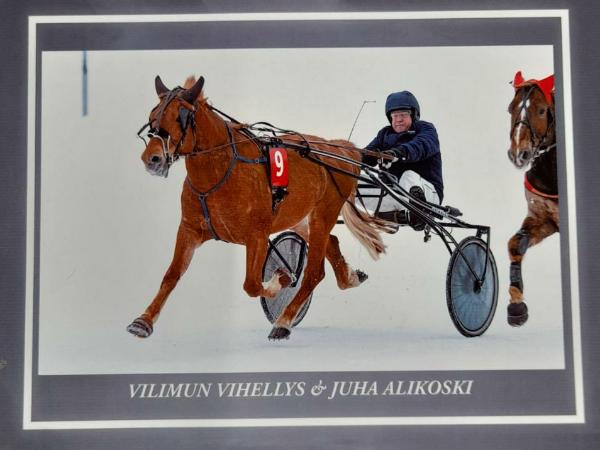 Vilimun Vihellys