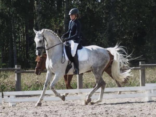 Princis II
