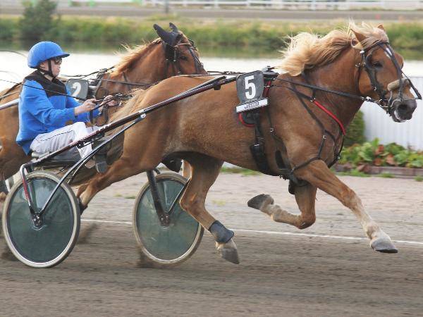 Aronin Muisto