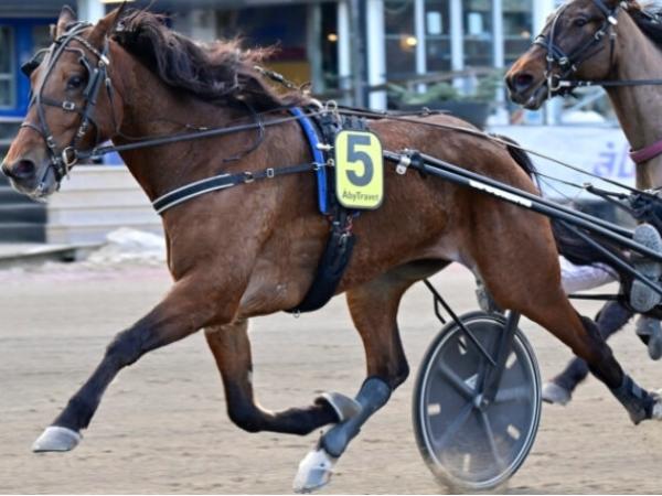 VästerboRoyalFlash