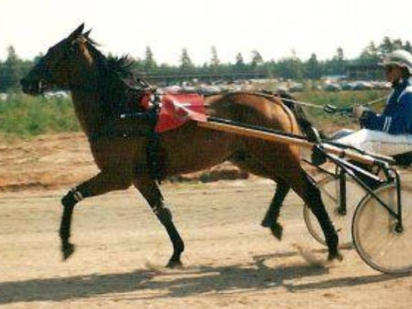 Breton Tumbler
