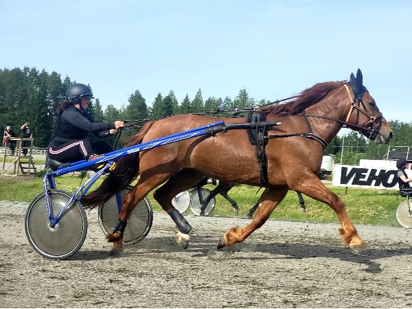 Torvelan Usva