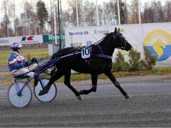 L.S.Gunvald*