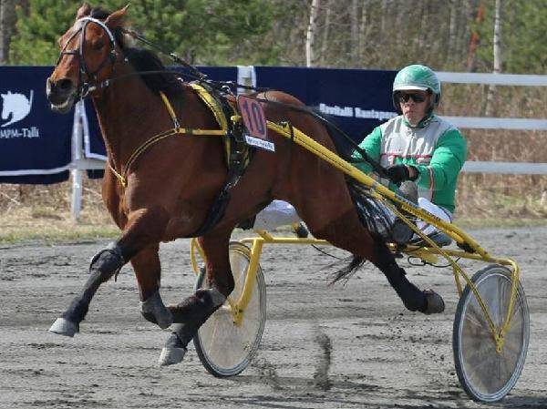 Lilljeppe