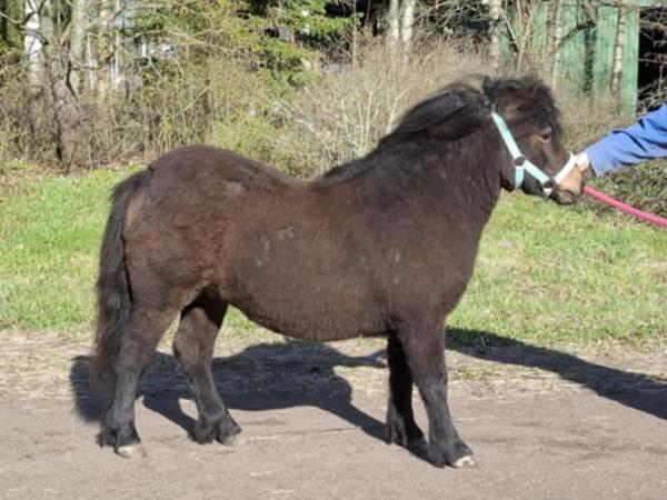 Usvaniityn Hilla