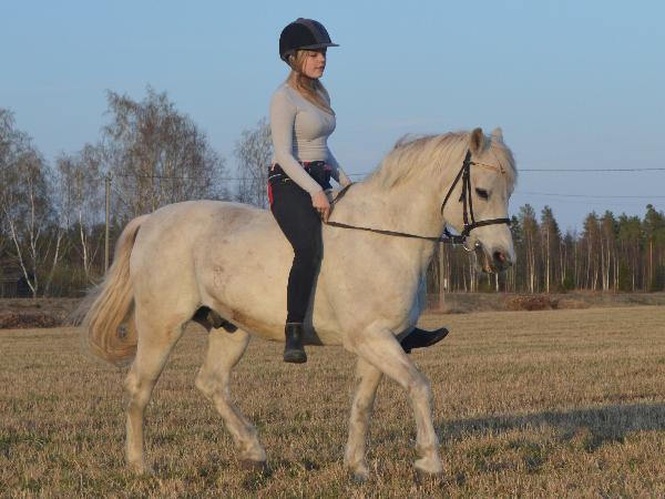 Kasakka