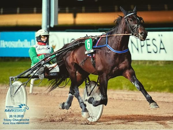 Tricky Chavaroche
