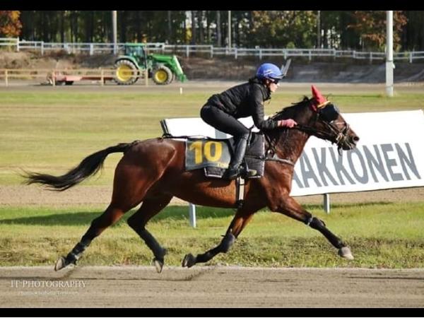 Tina's Fighter
