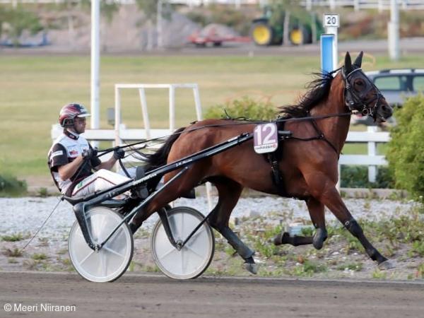 BWT Daenerys