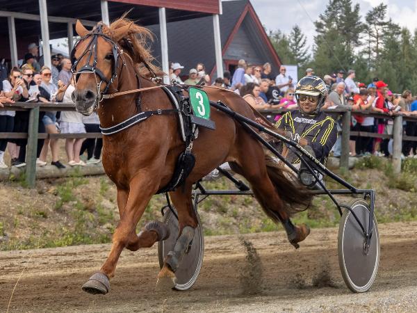 Sääksen Cassius
