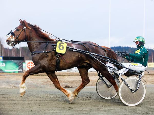 Ville Välähys