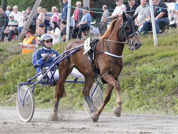 Akkametso