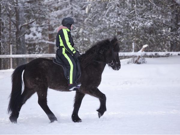Hugleikur frá Kaldbak