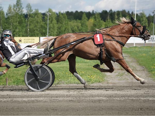 Vipinän Vihellys