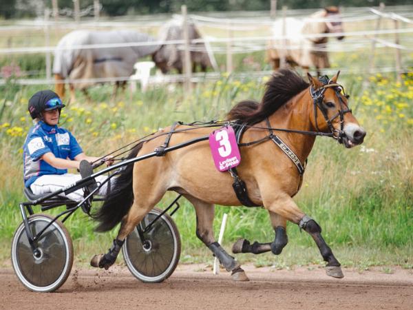 Belsson