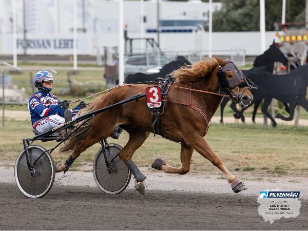 Ilon Muisto