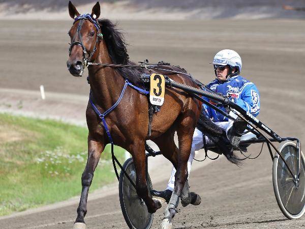 Little Caramel