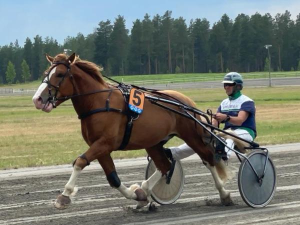 Hepon Veikka