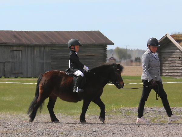 Primuksen Lady Emmi 1329 SH