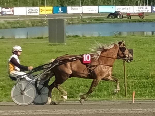 Kömin Niko