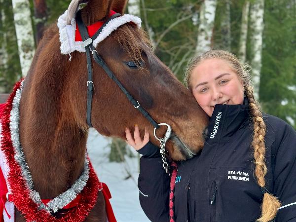 Väyrylän Hermanni