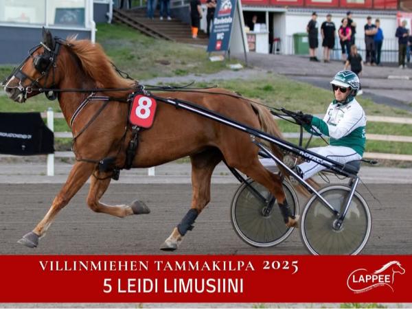 Leidi Limusiini
