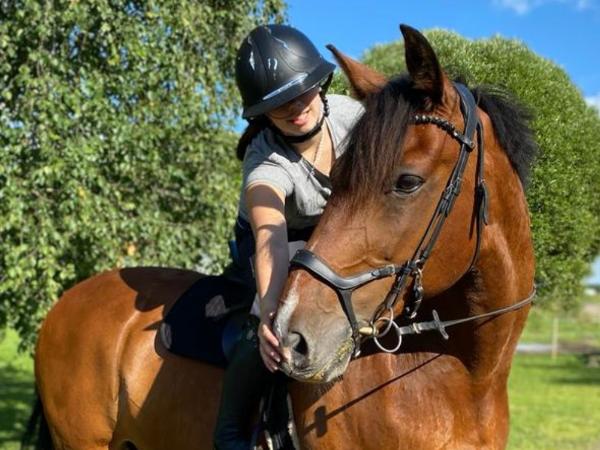 Landolet ex Landolett
