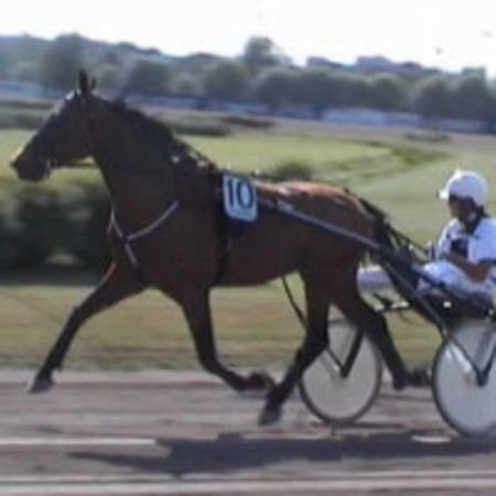 Zeus Laukko