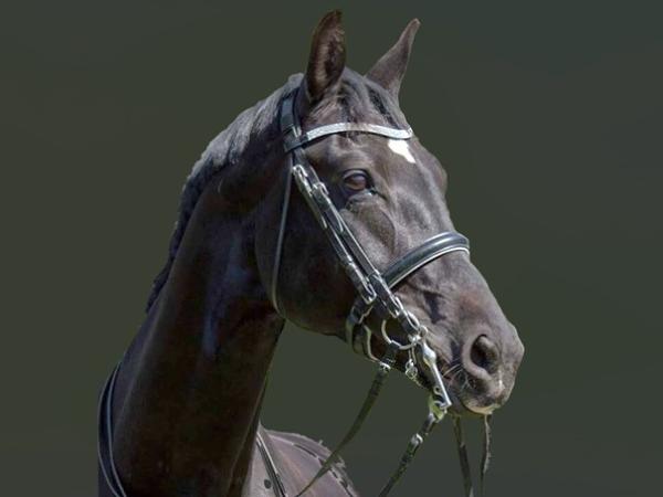 Ferdonnay