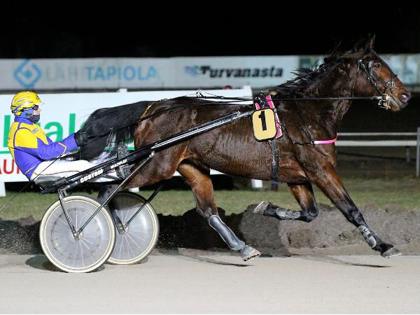 Jenel In The Crown
