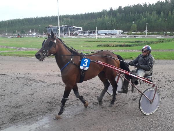 Twinvil