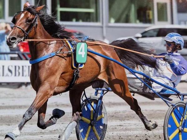 Premiär Tooma