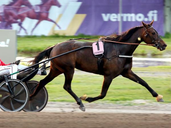 Lady Agostina