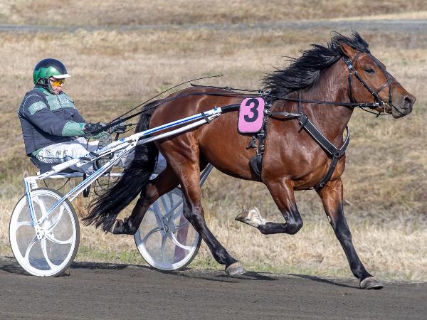 R.R. Passin Muisto