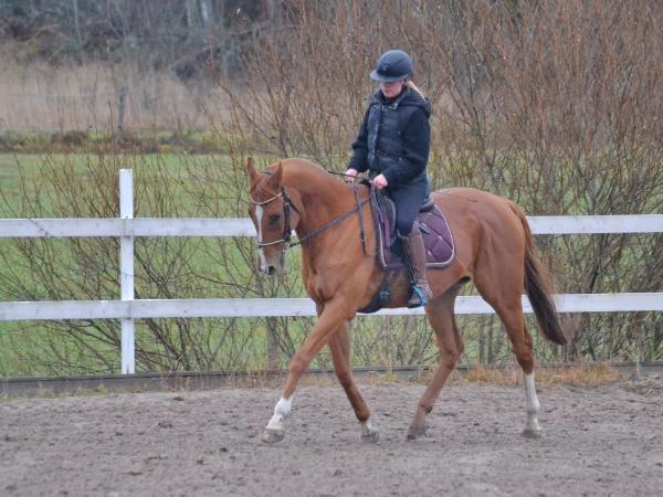 Caderousse