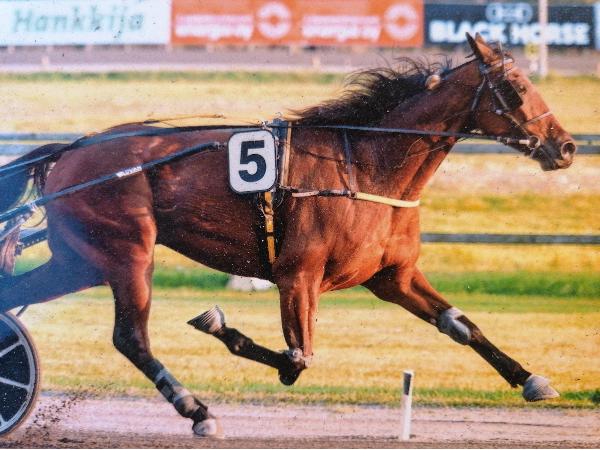 B.S. Gold