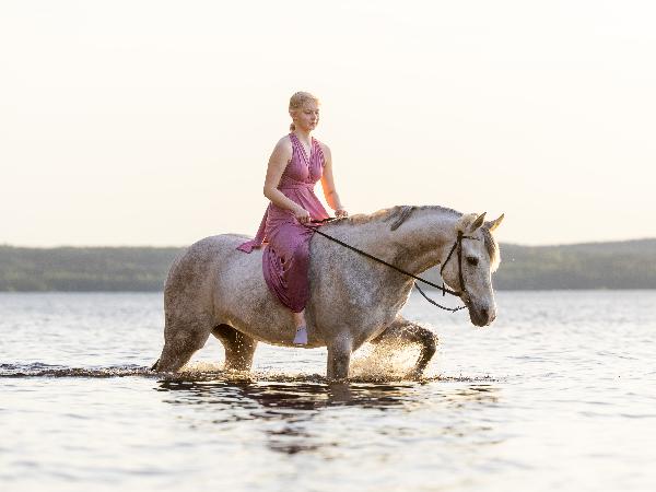 Vilis LT ox