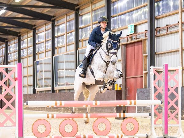 Gold Meadow's Diamond Time
