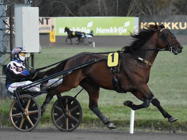 One More Horse