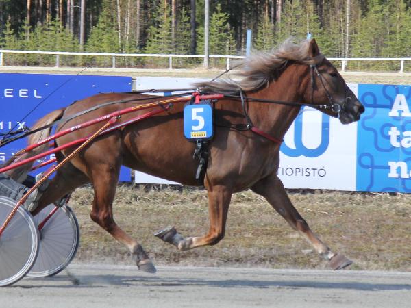 Tuuliniemen Jutta