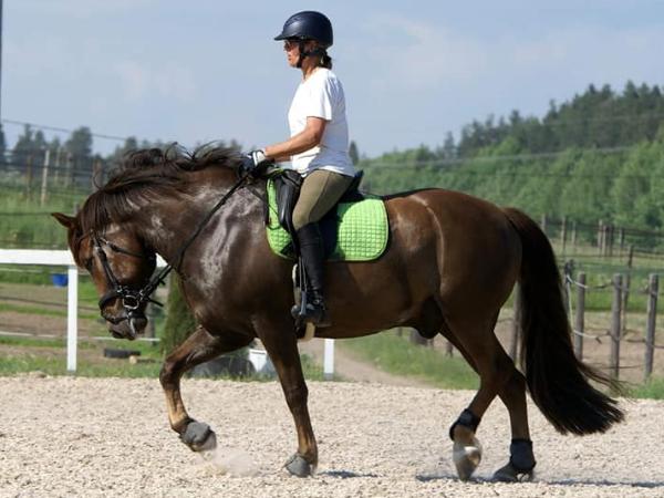 Tilin Toive