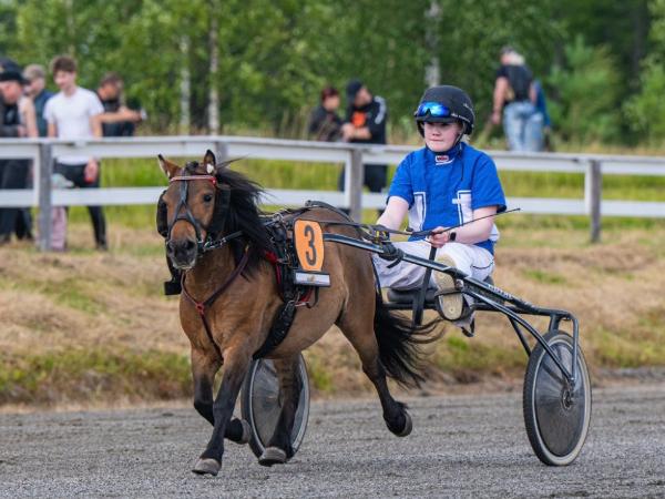Ruutin Petteri