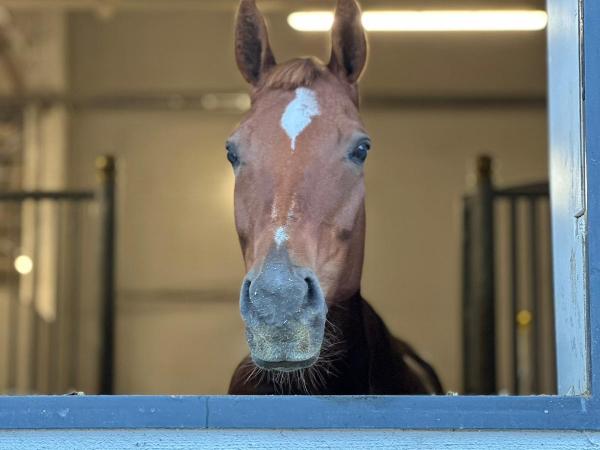 Exceptionally Sally