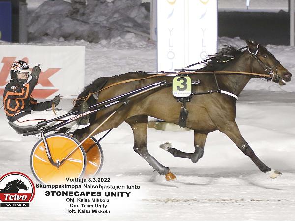 Stonecapes Unity