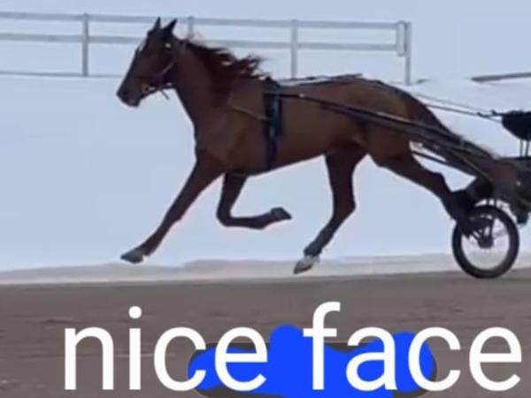 Nice Face