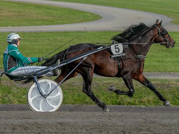 BWT Falcon
